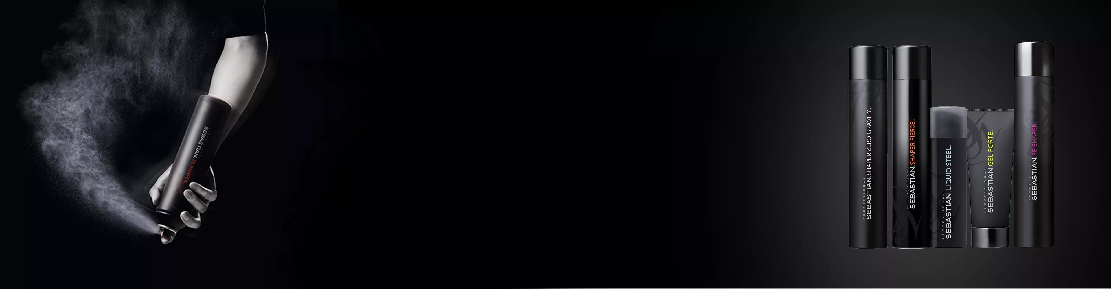 SEBASTIAN PROFESSIONAL